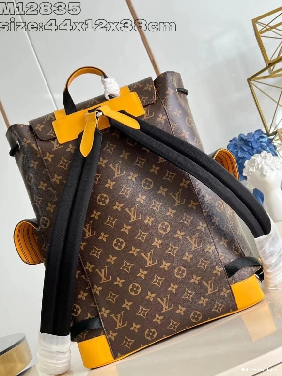 AAA Pruses Bags Louis Vuitton Backpack MM-38*44*12.5CM Christopher 0811